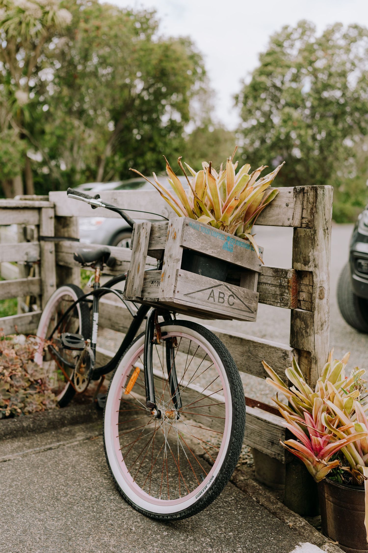 A vintage bicycle parked against a wooden fence with potted plants on display.