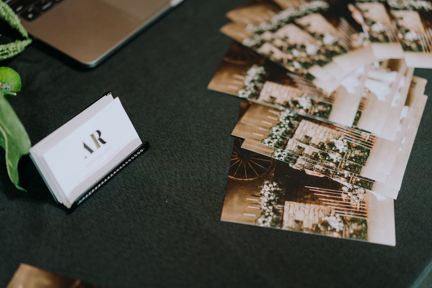 Vintage-style photographs and business cards displayed on dark surface with green plant.