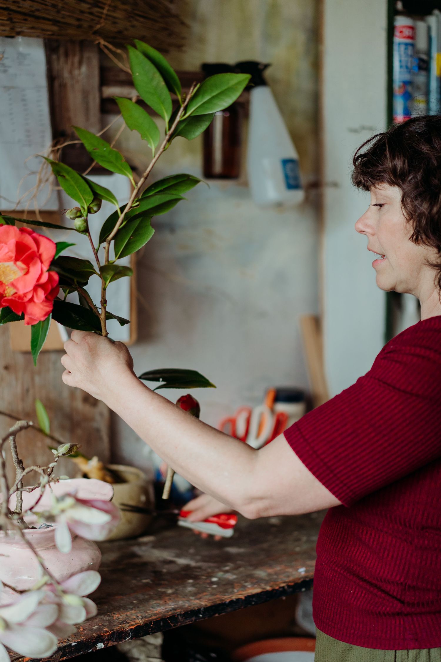 Person in red sweater arranging coral-colored flowers with green leaves.