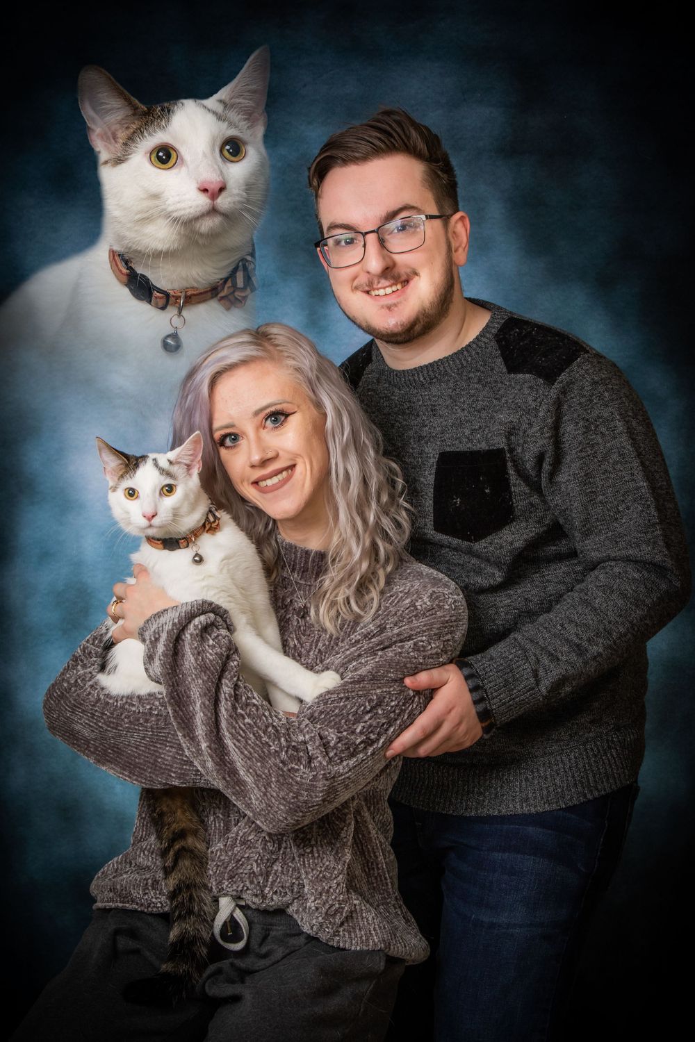 Studio portrait with two white cats and couple in sweaters against blue backdrop.