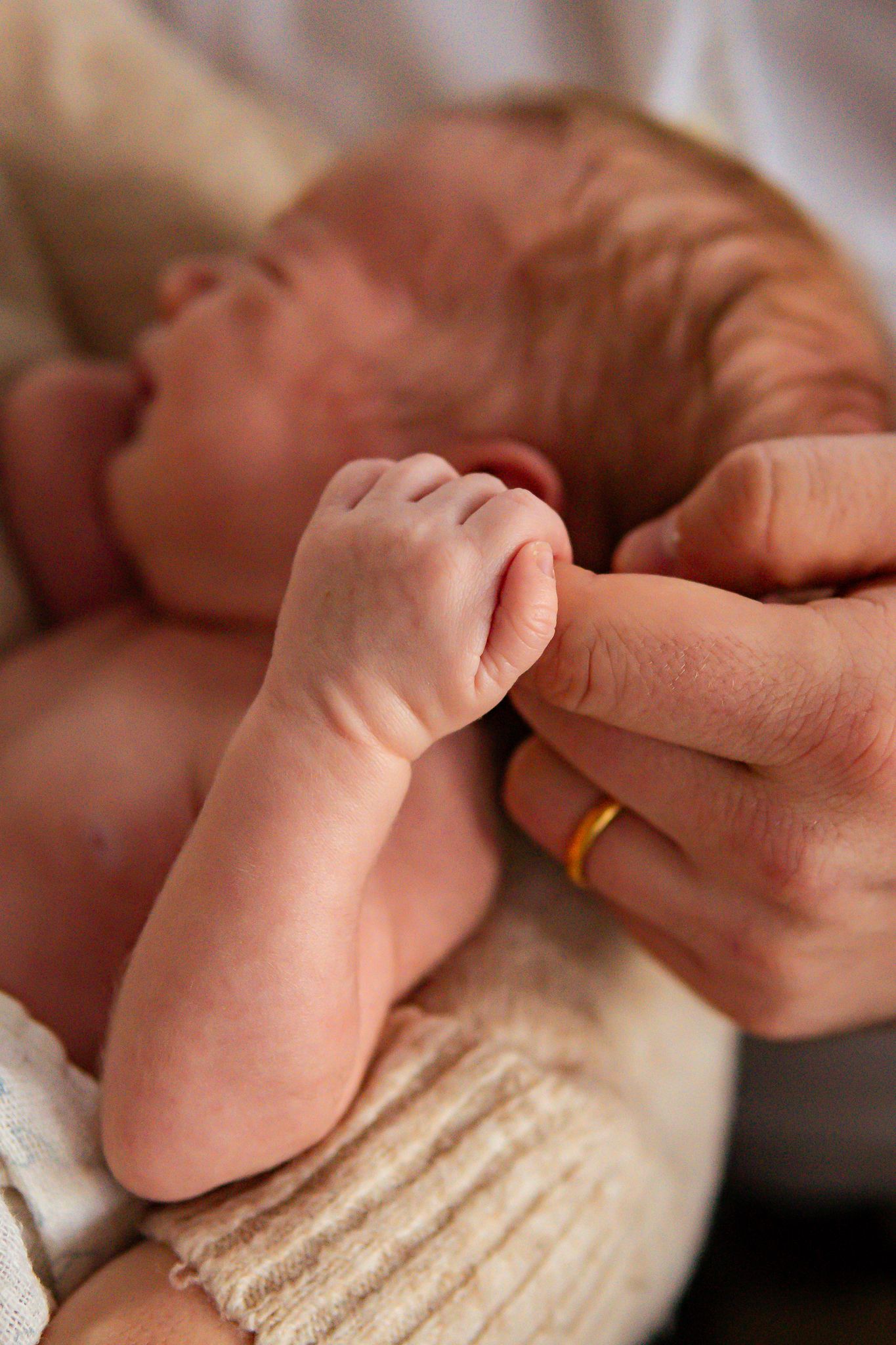 Närbild på en liten nyfödd bebis hand som håller i ett vuxet finger som bär en guldig ring. Fotograf, nyföddfotograf, Umeå, Västerbotten