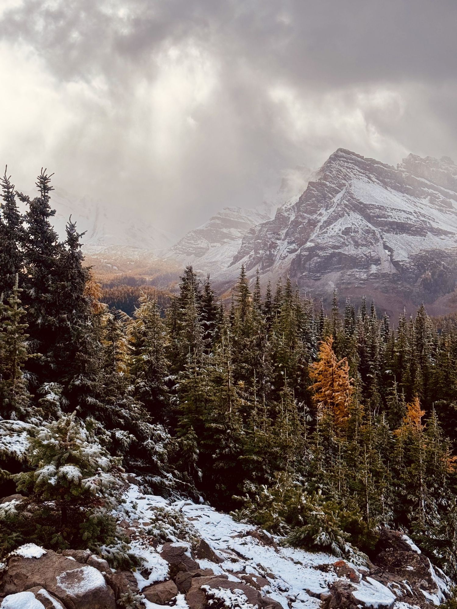 Elopement photography in Mount Assiniboine Provincial Park. Wedding elopements in Banff, Kananaskis, Lake Louise, and Canmore