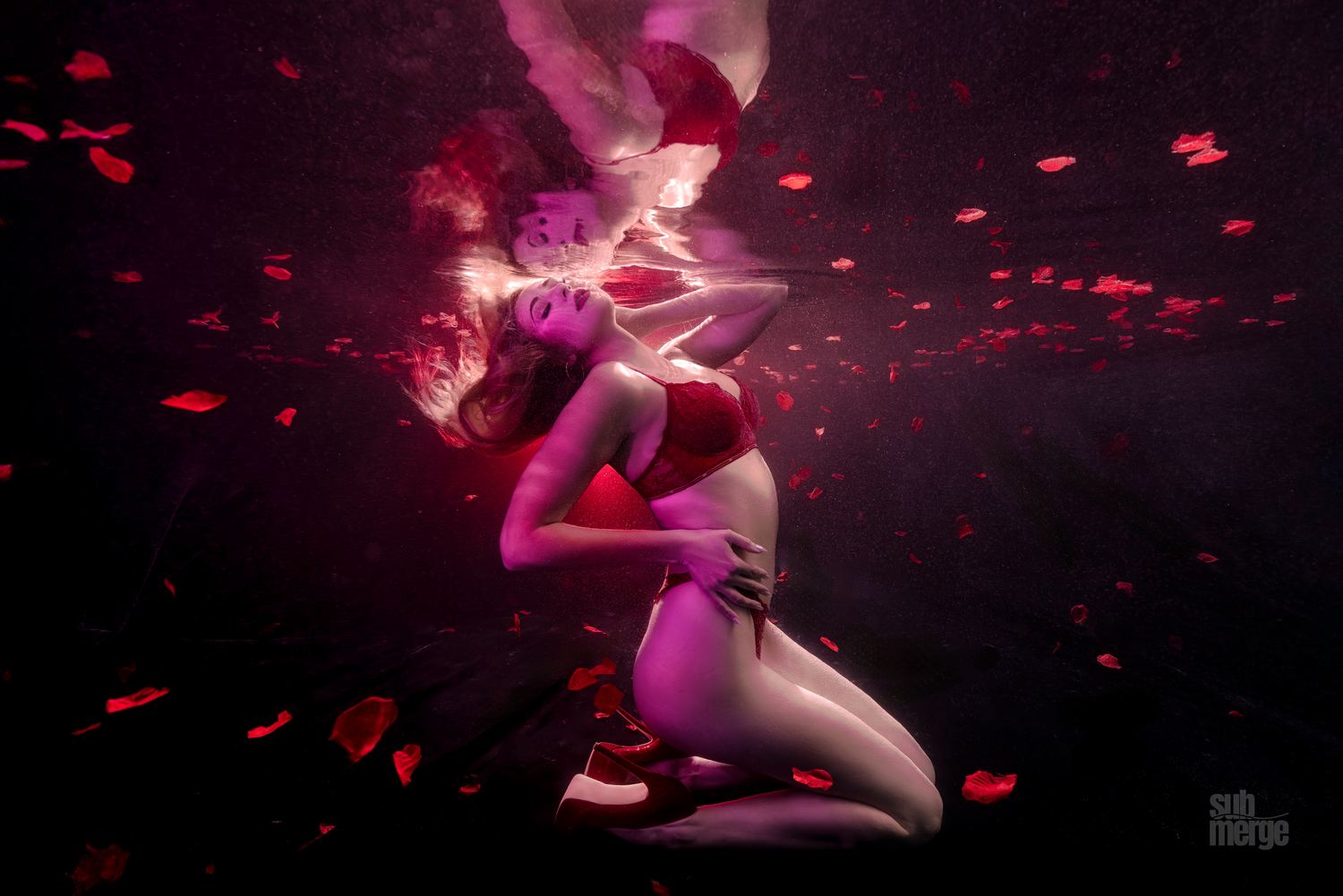 Underwater photo featuring a person in pink light surrounded by floating rose petals in a dark aquatic setting.