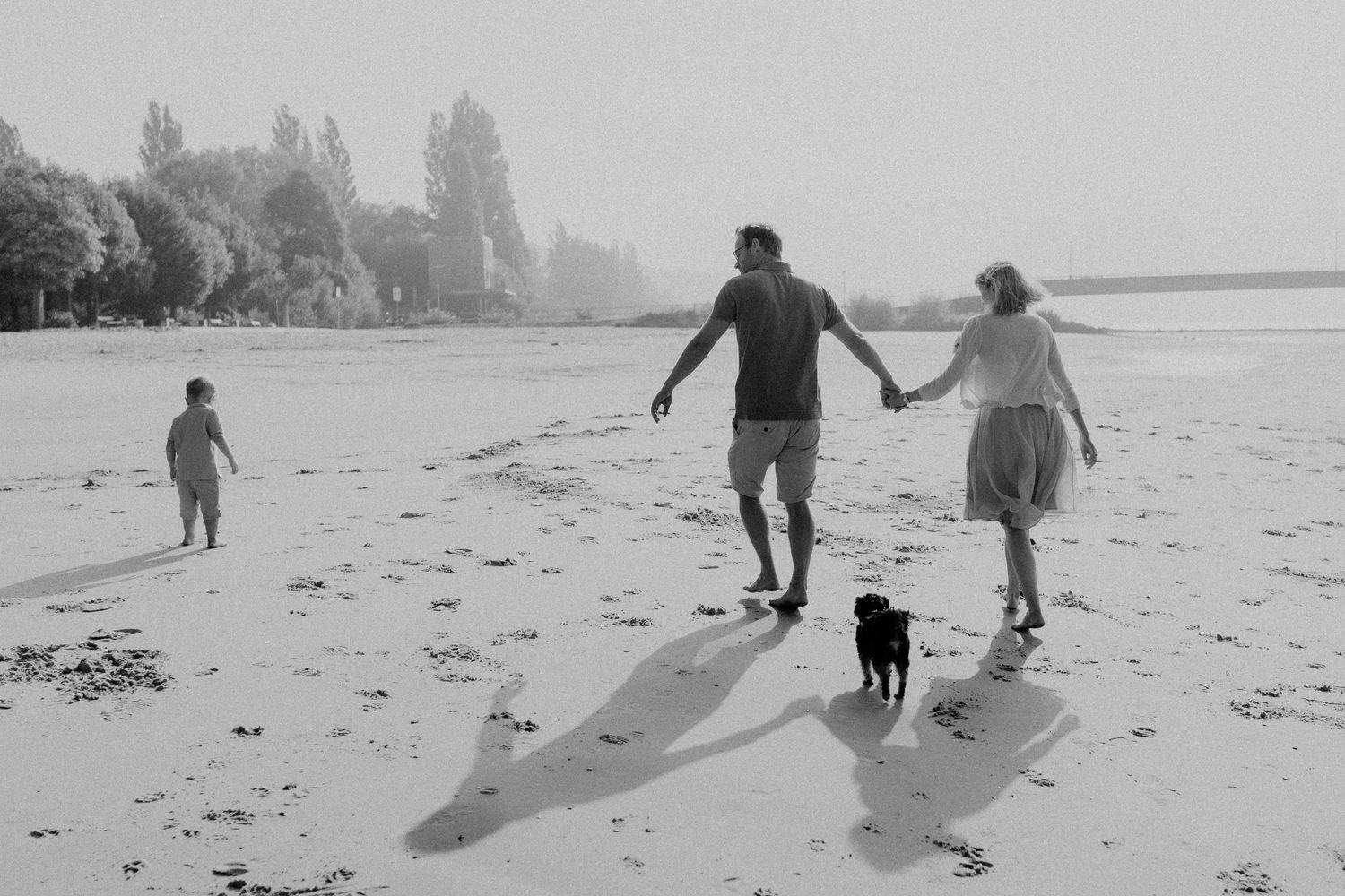 Eine Familie mit Hund und Kind im Morgenlicht am Elbstrand, die einen entspannten Strandspaziergang machen und dabei lange Schatten werfen.