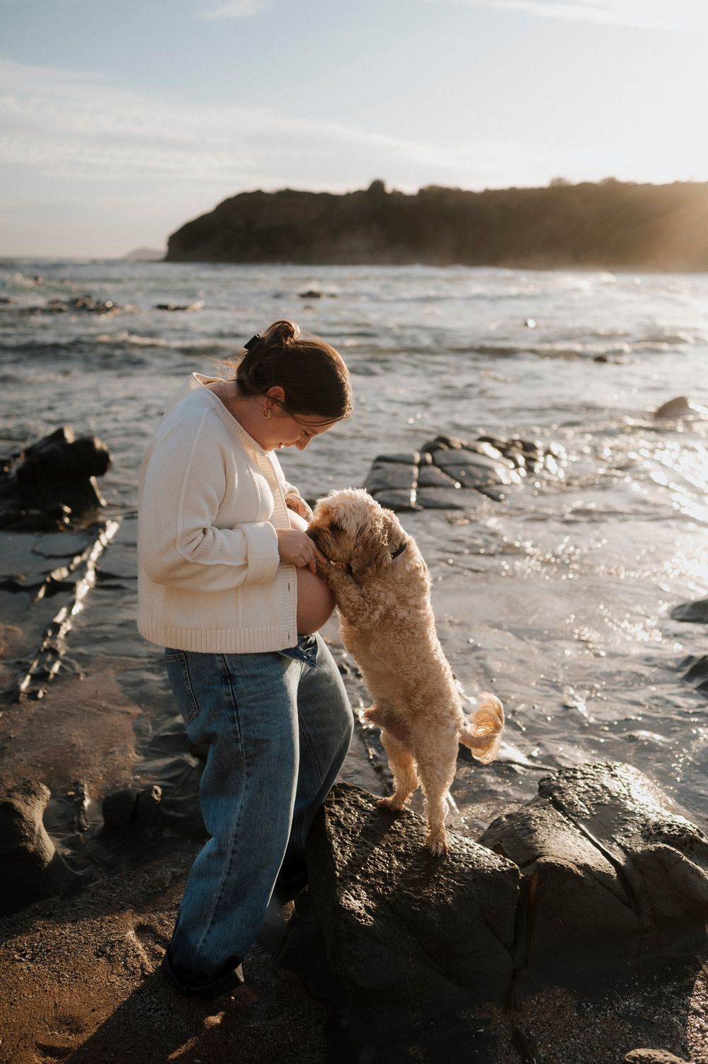 A furry dog stands on coastal rocks at sunset, interacting with someone on a misty beach against a cliffside backdrop.