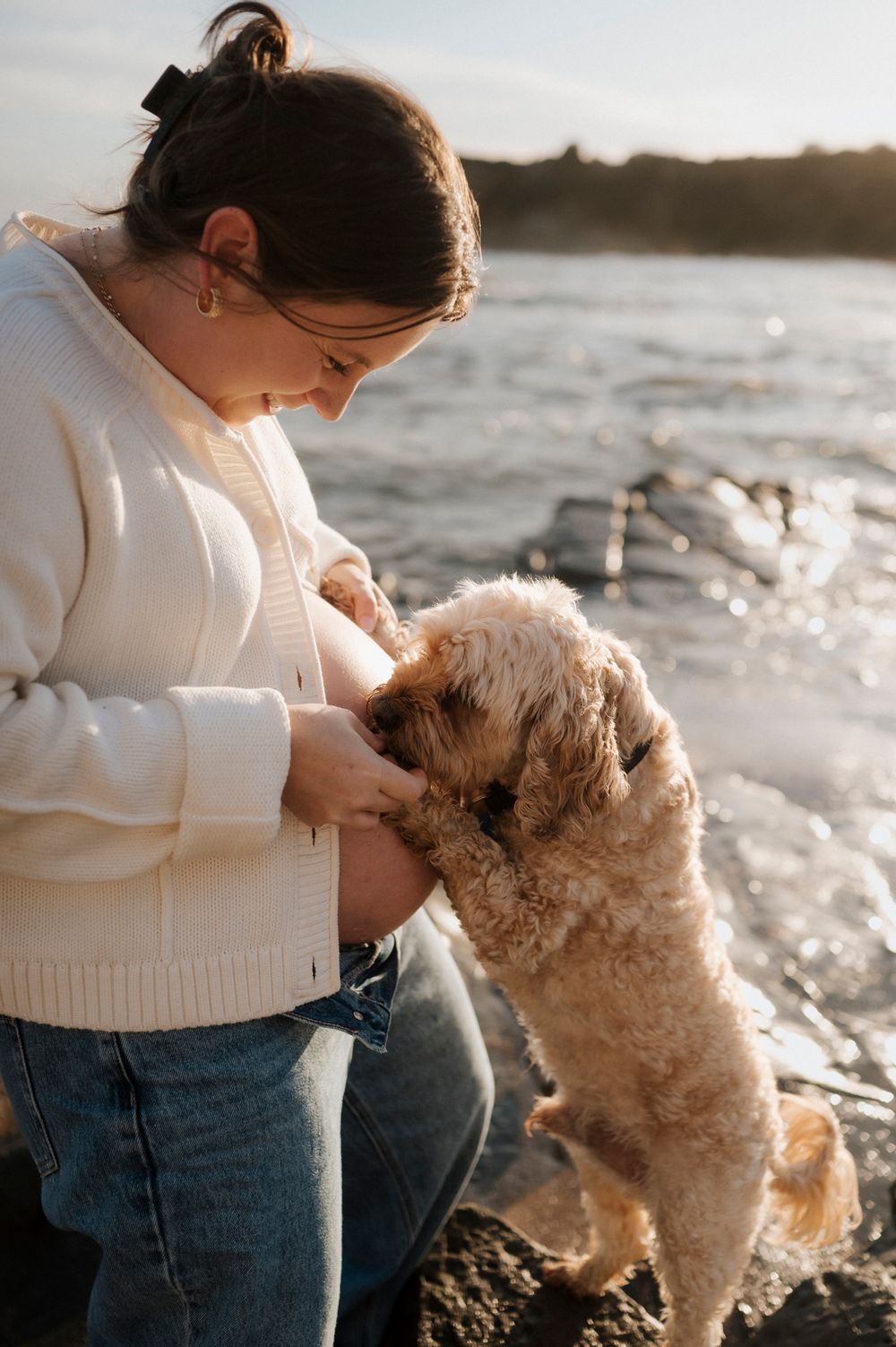 Person in cream sweater and jeans playing affectionately with a fluffy goldendoodle dog by the water at sunset.