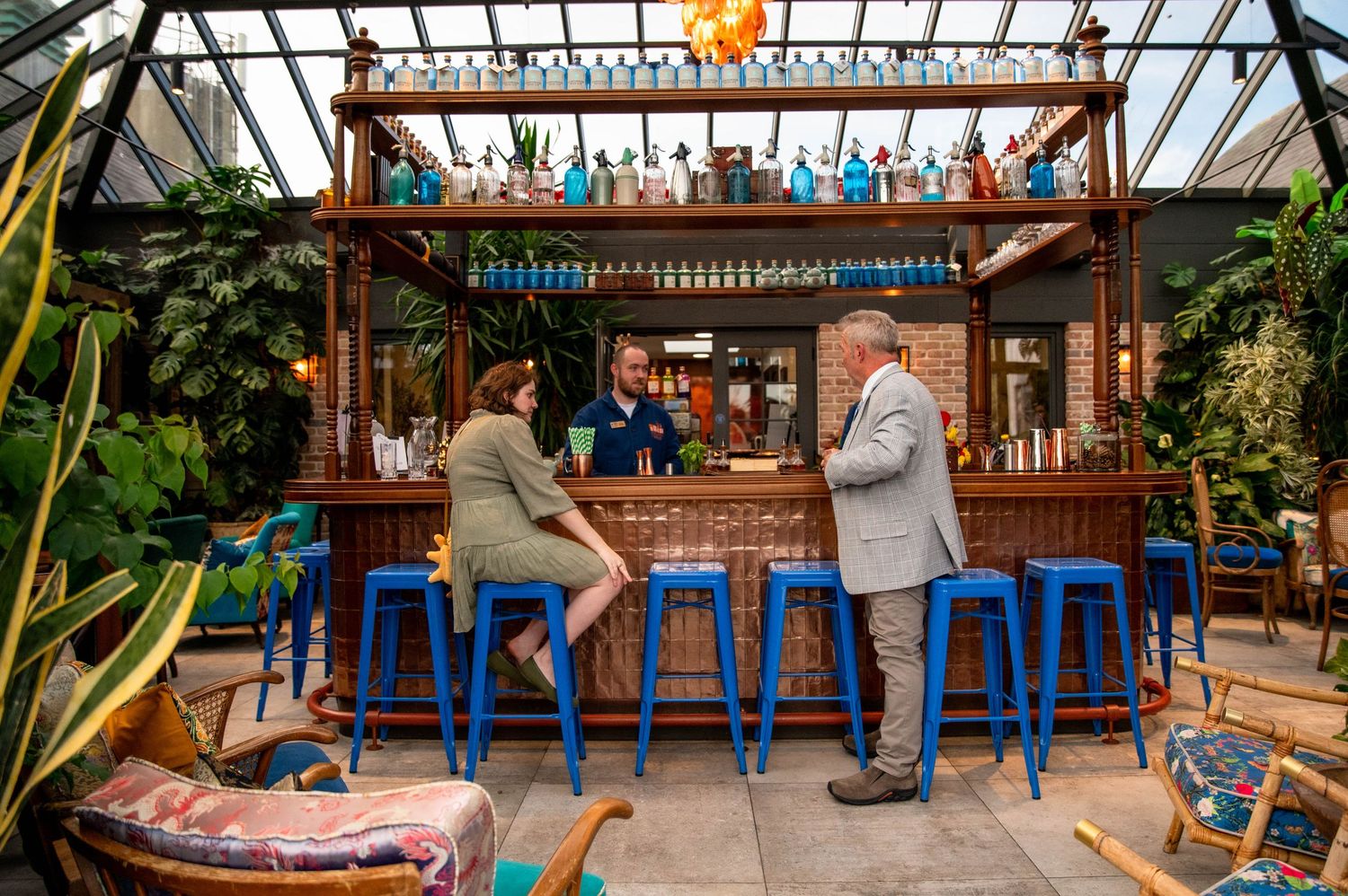 Inside a greenhouse bar, people gather on bright blue metal stools under wooden beams and hanging string lights.