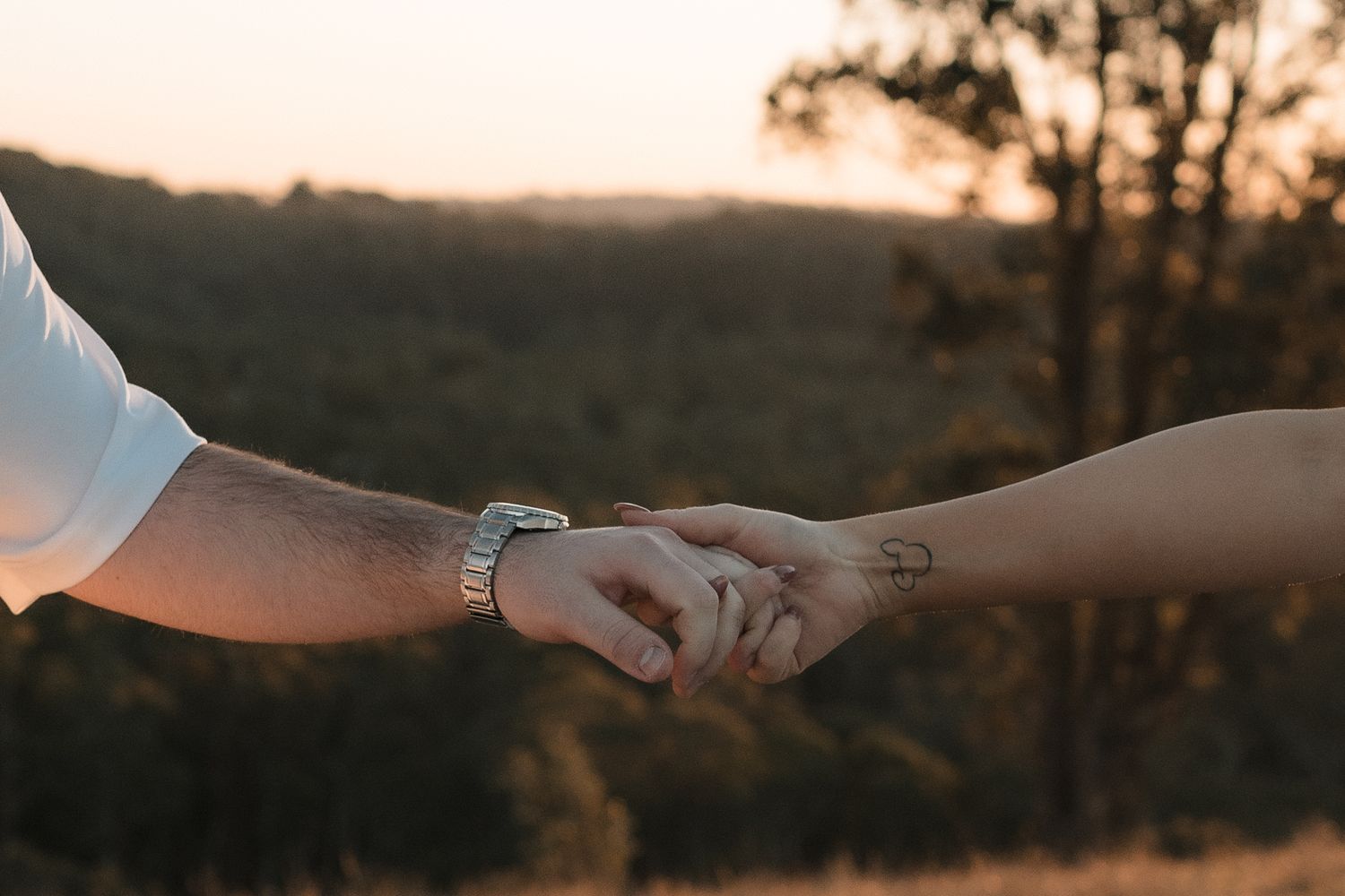 Two hands clasped together against a warm golden sunset with silhouetted trees in the background.