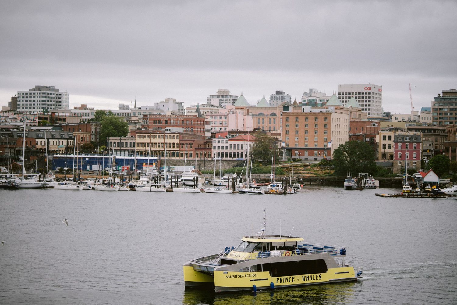 Yellow water taxi cruises past Victoria's Inner Harbour with city buildings in background.