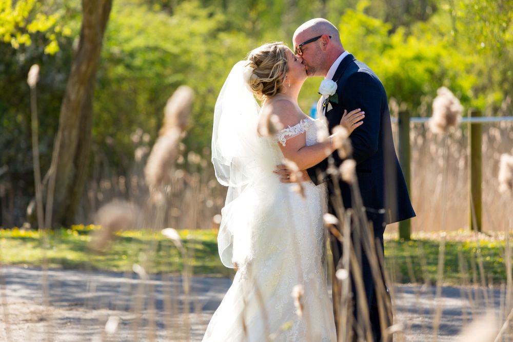 Bride and groom share a kiss among the tall reeds in golden sunlight near the Village Hotel, Portsmouth.