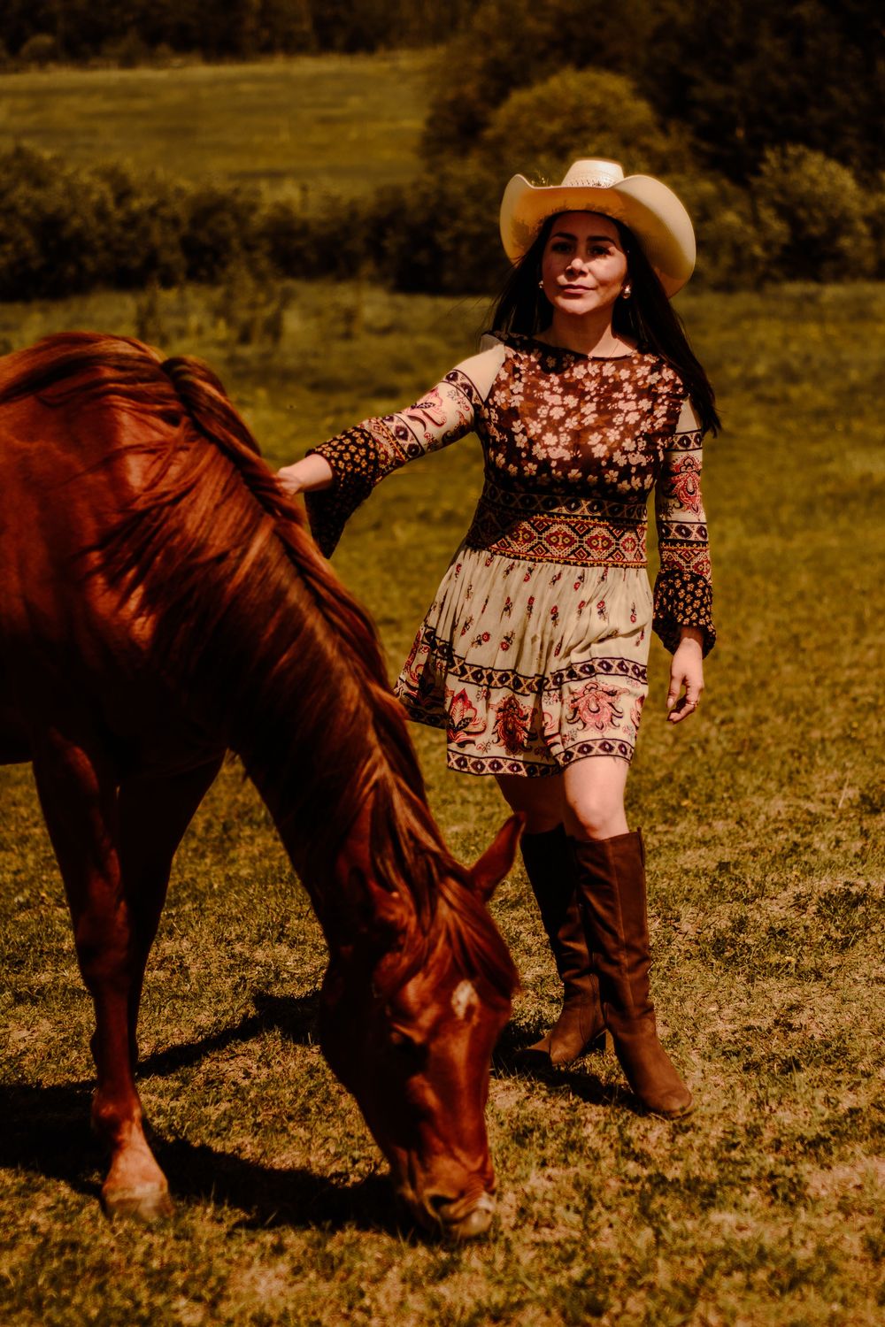 A rustic western-styled photo of a horse and rider in patterned dress enjoying a sunny meadow.