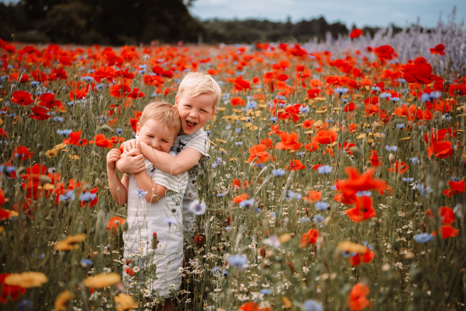 A bright field of vibrant red poppies and wildflowers stretches across a summer meadow under blue skies.