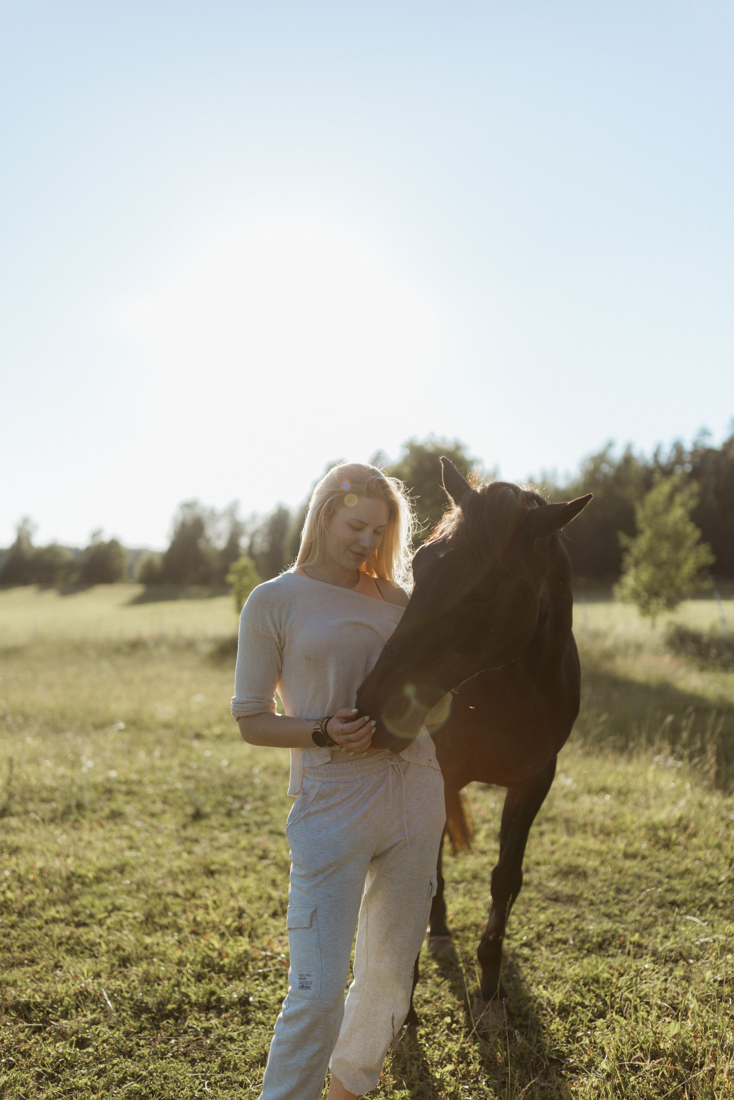 Hevoskuvaus. Horse photo shppt. Hobuse pildistamine