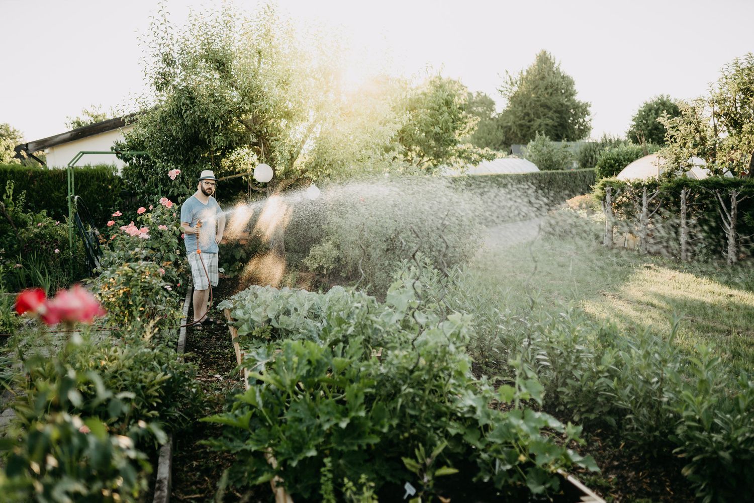 Weitblick Fotografie - Garten
