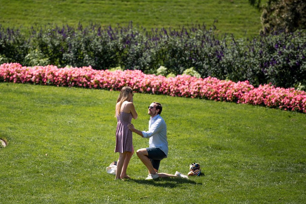 Cute couple sharing their love story through their engagement photos at a flower garden in San Francisco.