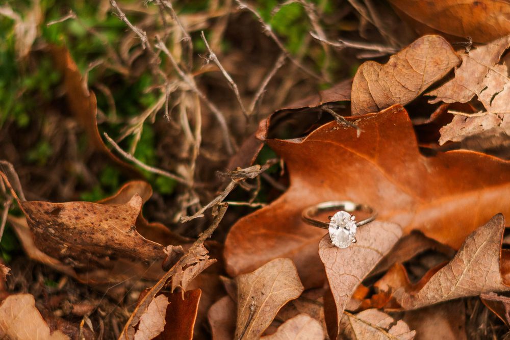 Engagement Session at Mount Nebo, Dardanelle, Arkansas, Samantha Welch, Welch Photography, Arkansas Wedding Photography