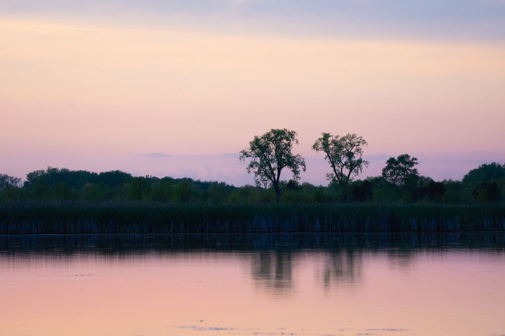 Pond in Pastel