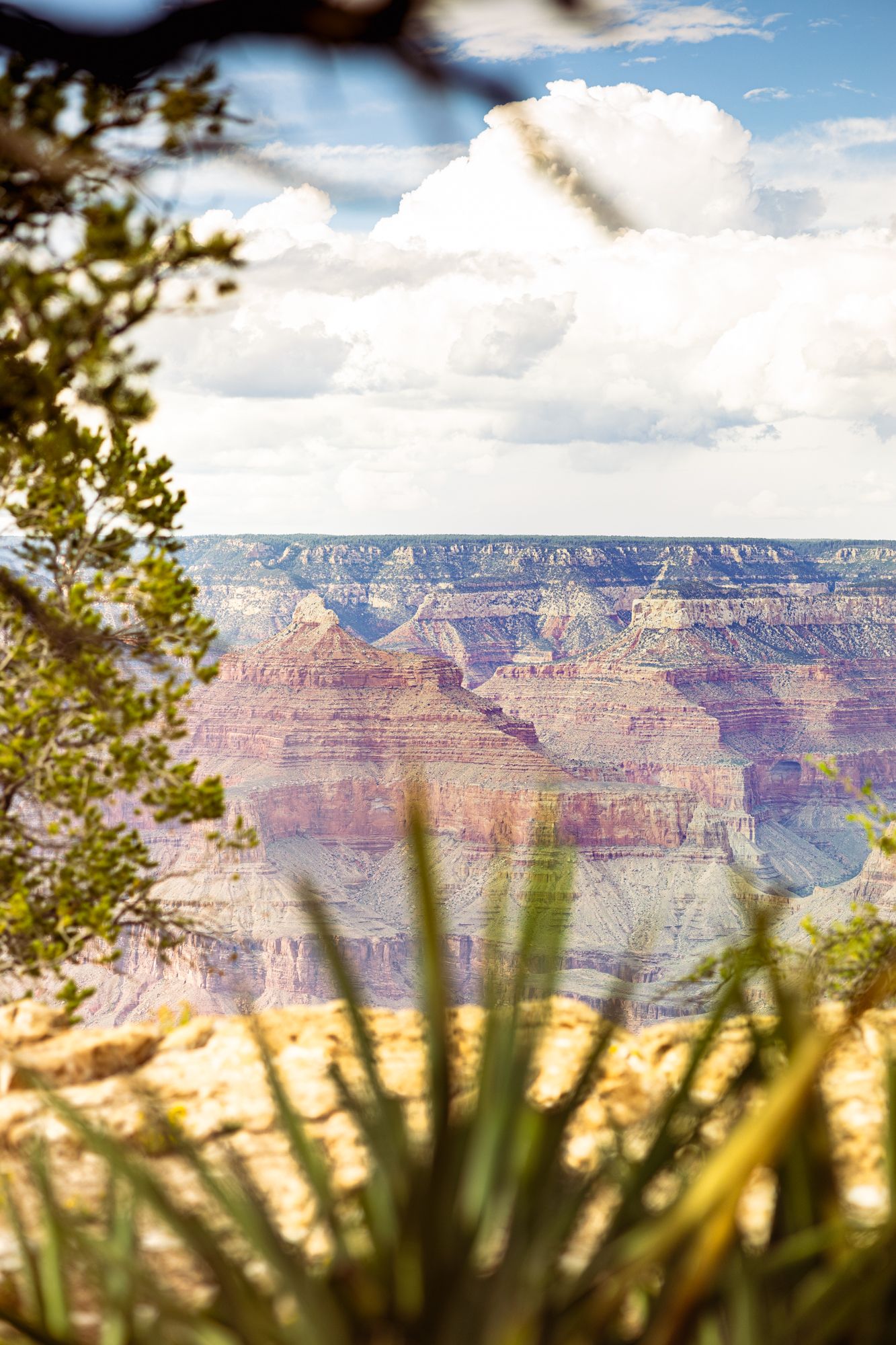 Grand Caynon Photographer