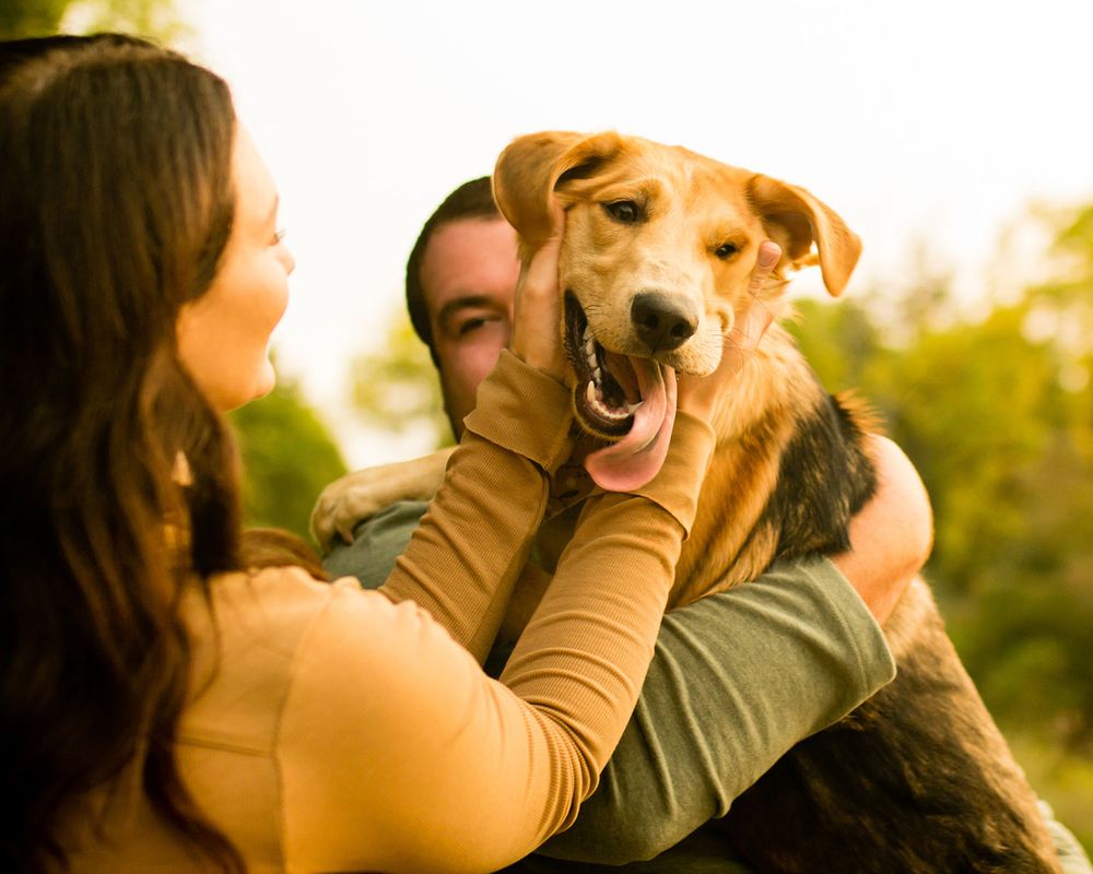 Outdoor Engagement Photos with Dog in Omaha, NE