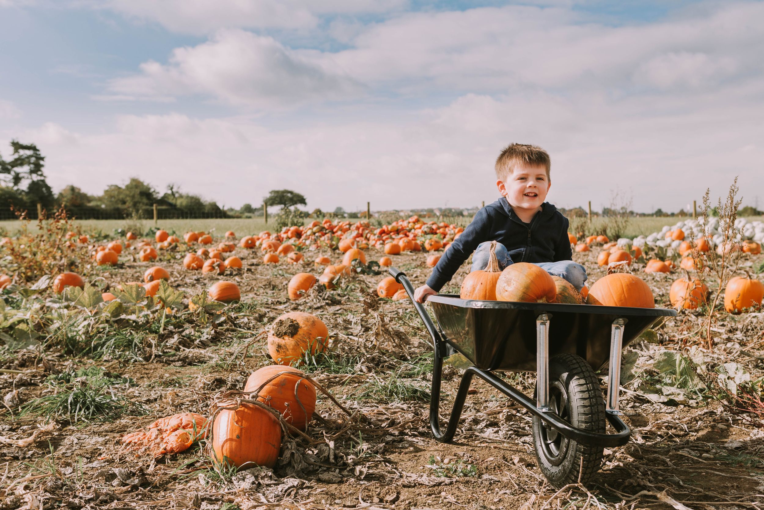 pumpkin patch basildon
