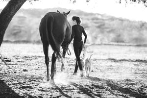 Texas equine photography Leigh Fields Photography horse and rider