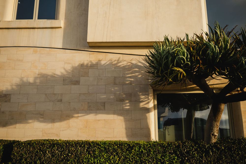 Architectural detail showing shadow patterns on beige building wall with tropical plants.