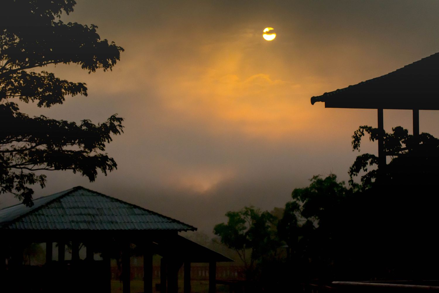 Sun setting over the elephant rescue sanctuary in northern Thailand