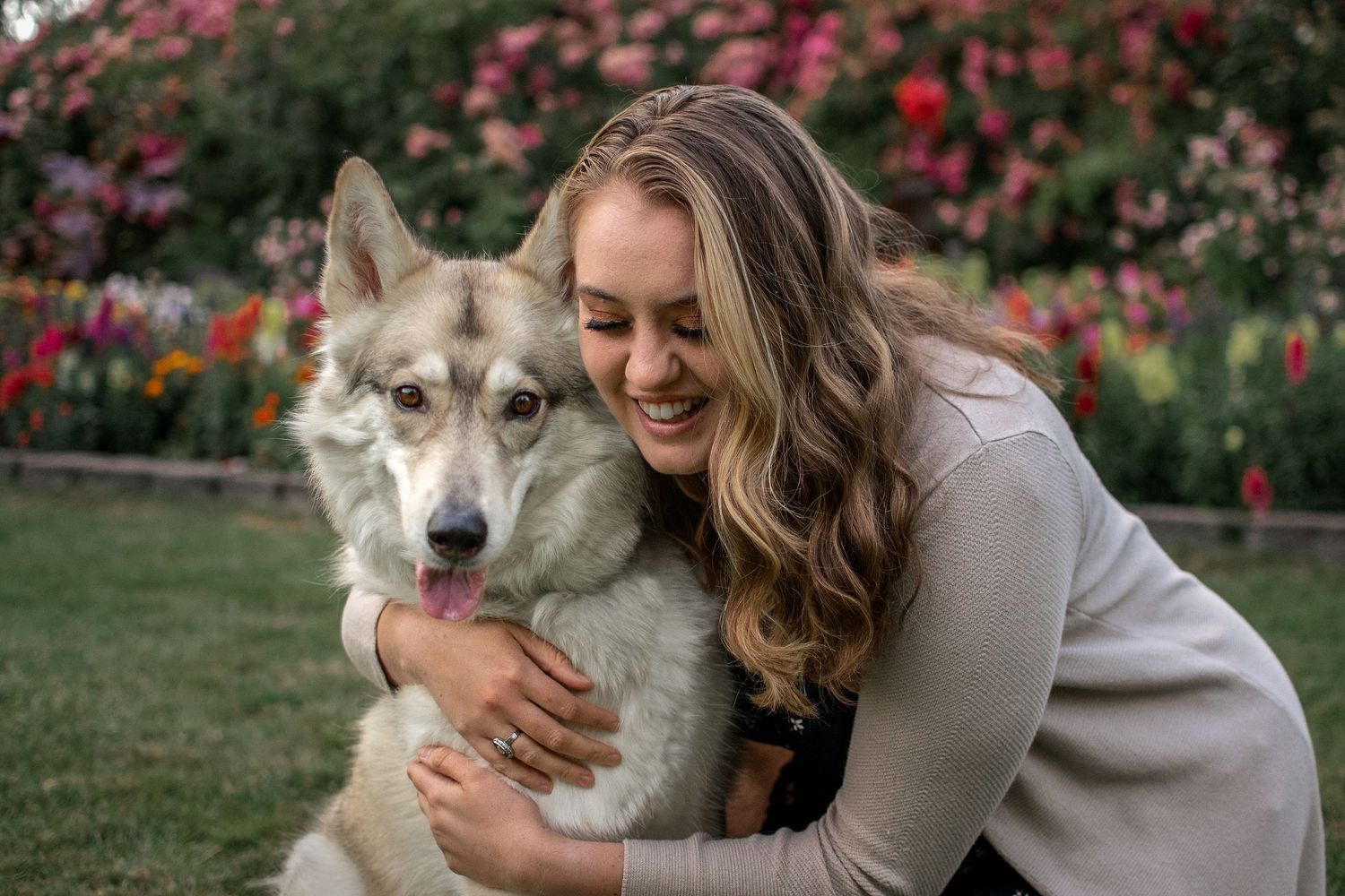 Dog portrait session at Point Defiance Park