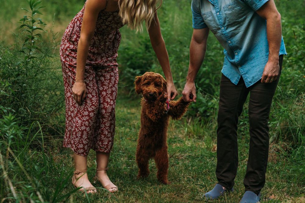 Goldendoodle couples photos Family pet photographer Cincinnati Ohio Dog photography Dayton Ohio