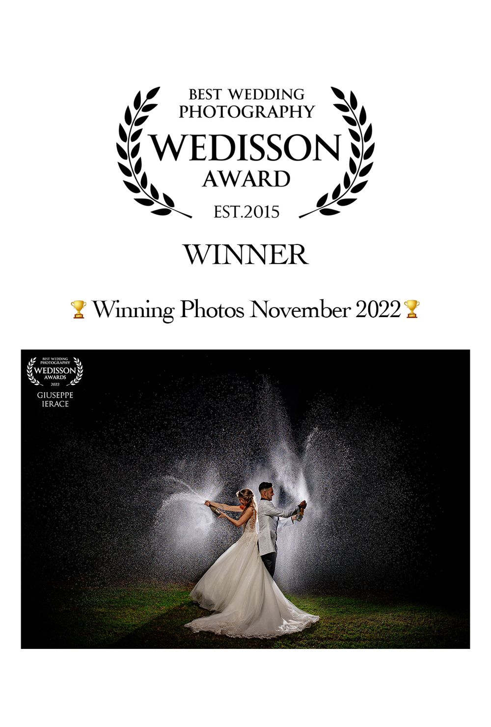 wedisson award - Giuseppe Ierace