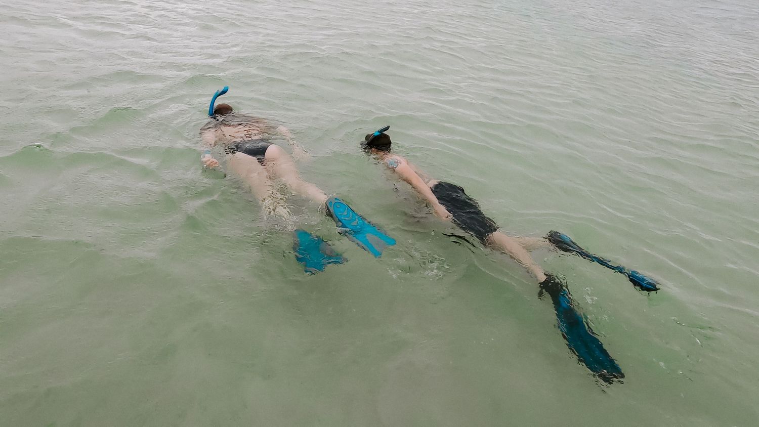 couple snorkeling in Florida