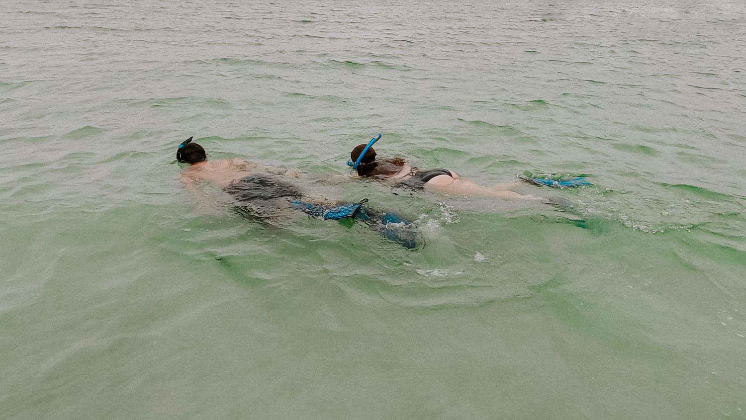 couple snorkeling in Destin, FL