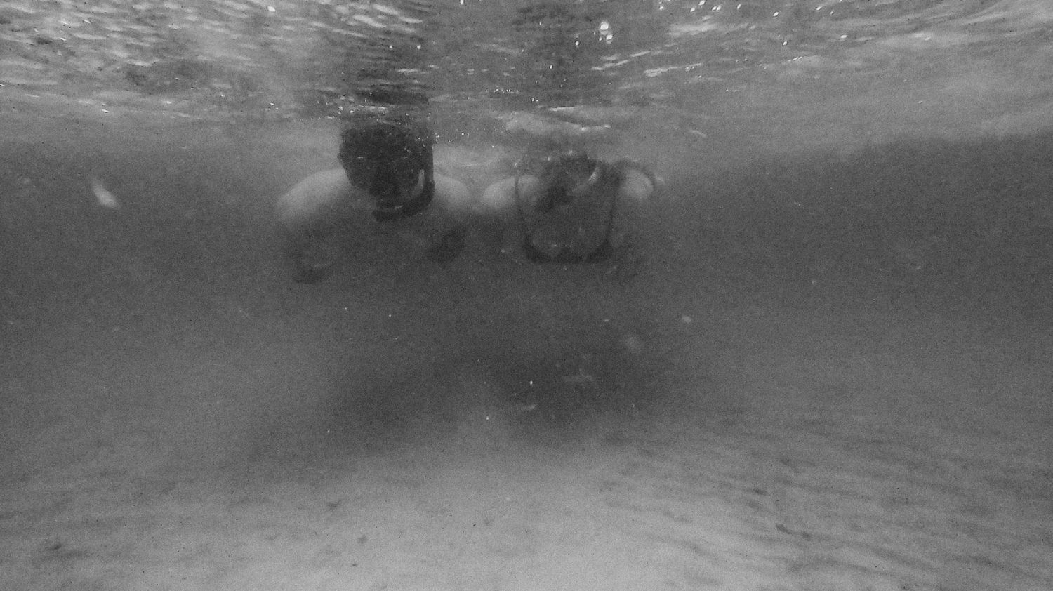 underwater shot of a couple snorkeling