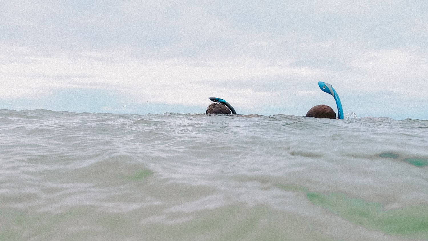 the top of the couples head who are snorkeling
