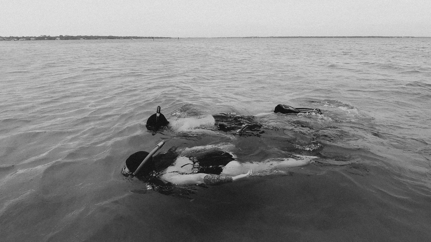 black and white image of a couple snorkeling in the gulf of Mexico