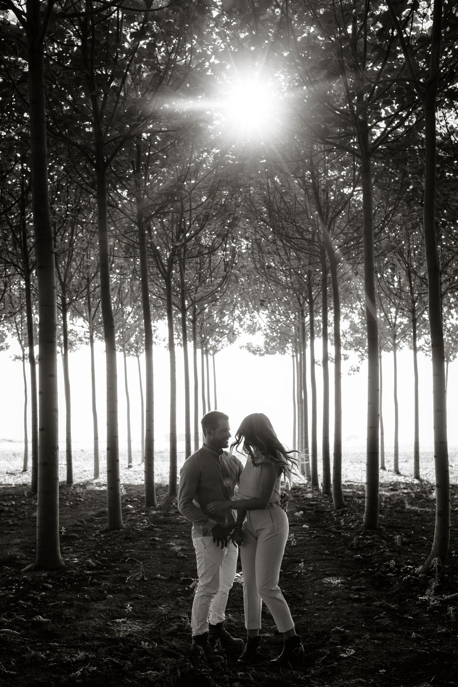 Puglia - couple - prematrimoniale - sessione di coppia - natura - bosco - piantagione di Paulonia - wedding photographer