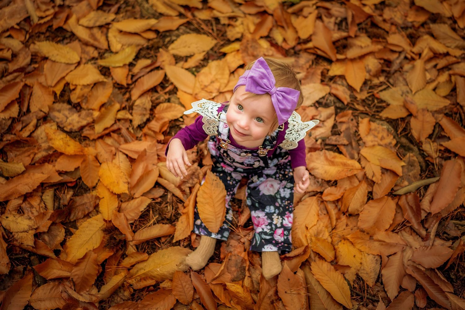 Toddler girl sitting amongst the Autumn leaves by Kate Cashin Photography.