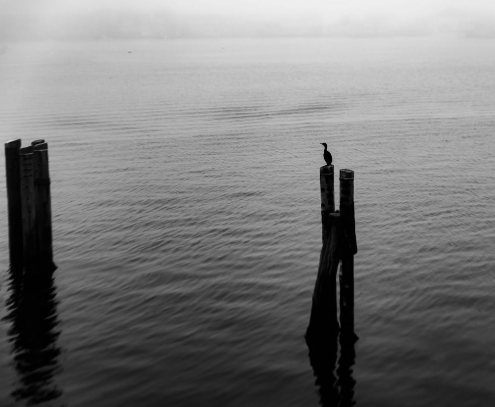 Solitude