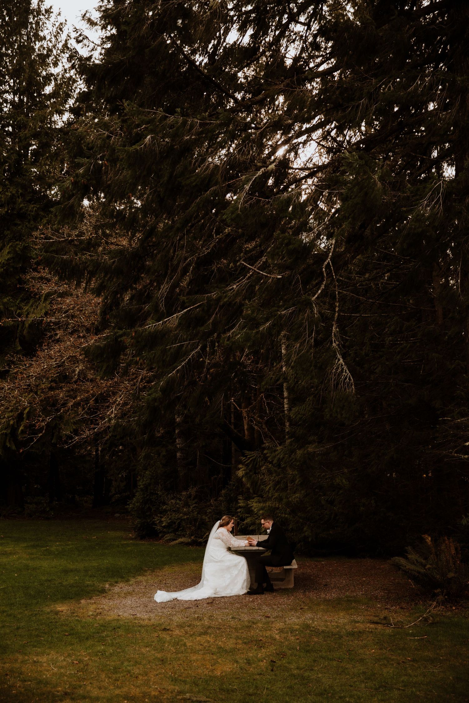 Micro Wedding in the Mountains by Carli Layton Photography, a Texas Wedding Photographer.