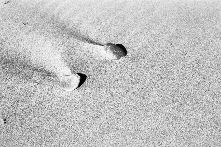 Nikon FE, 50mm 1.4, red filter