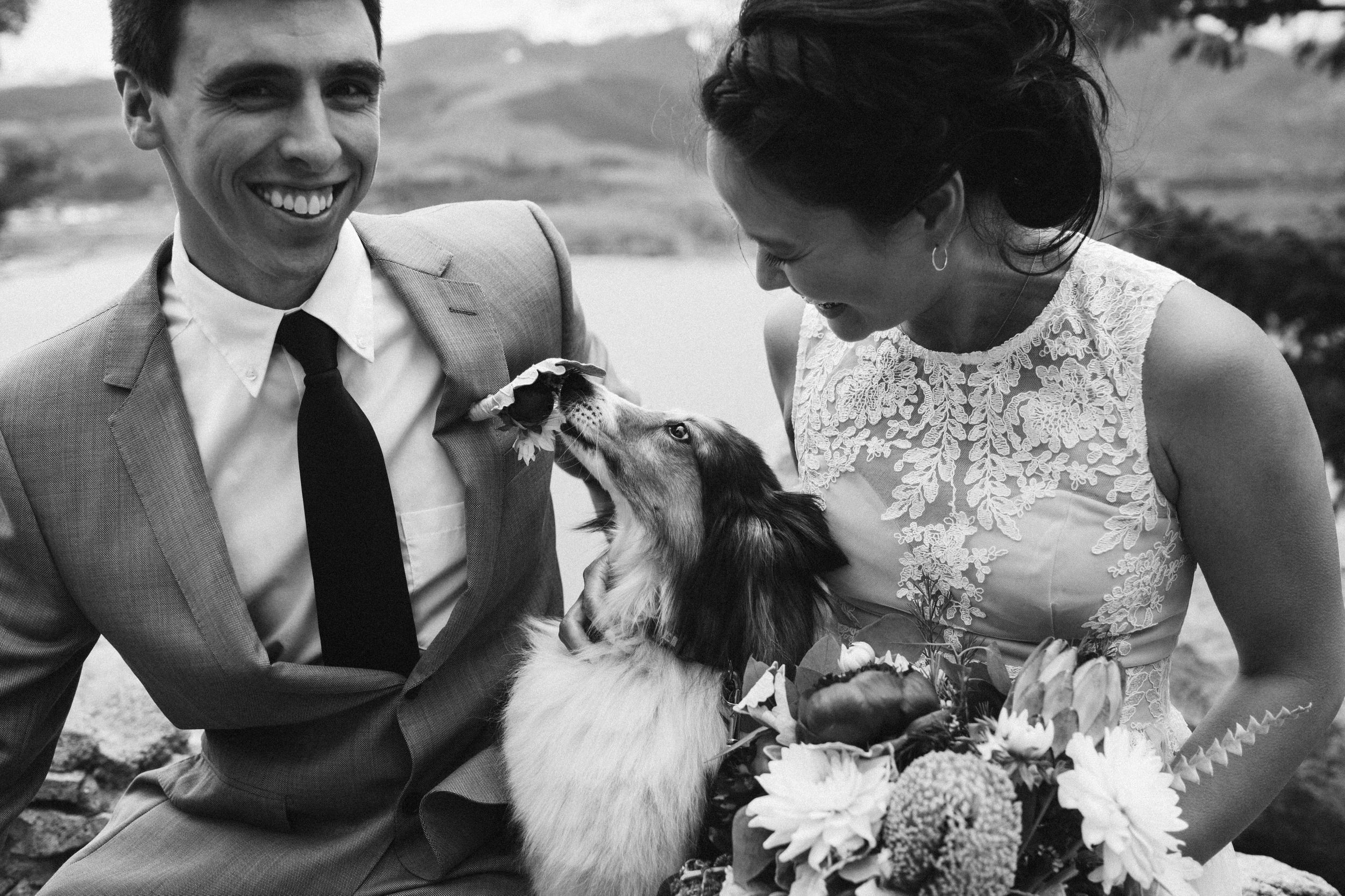 Laughing and emotion with dog black and white Mountain Ceremony Colorado Wedding Photography