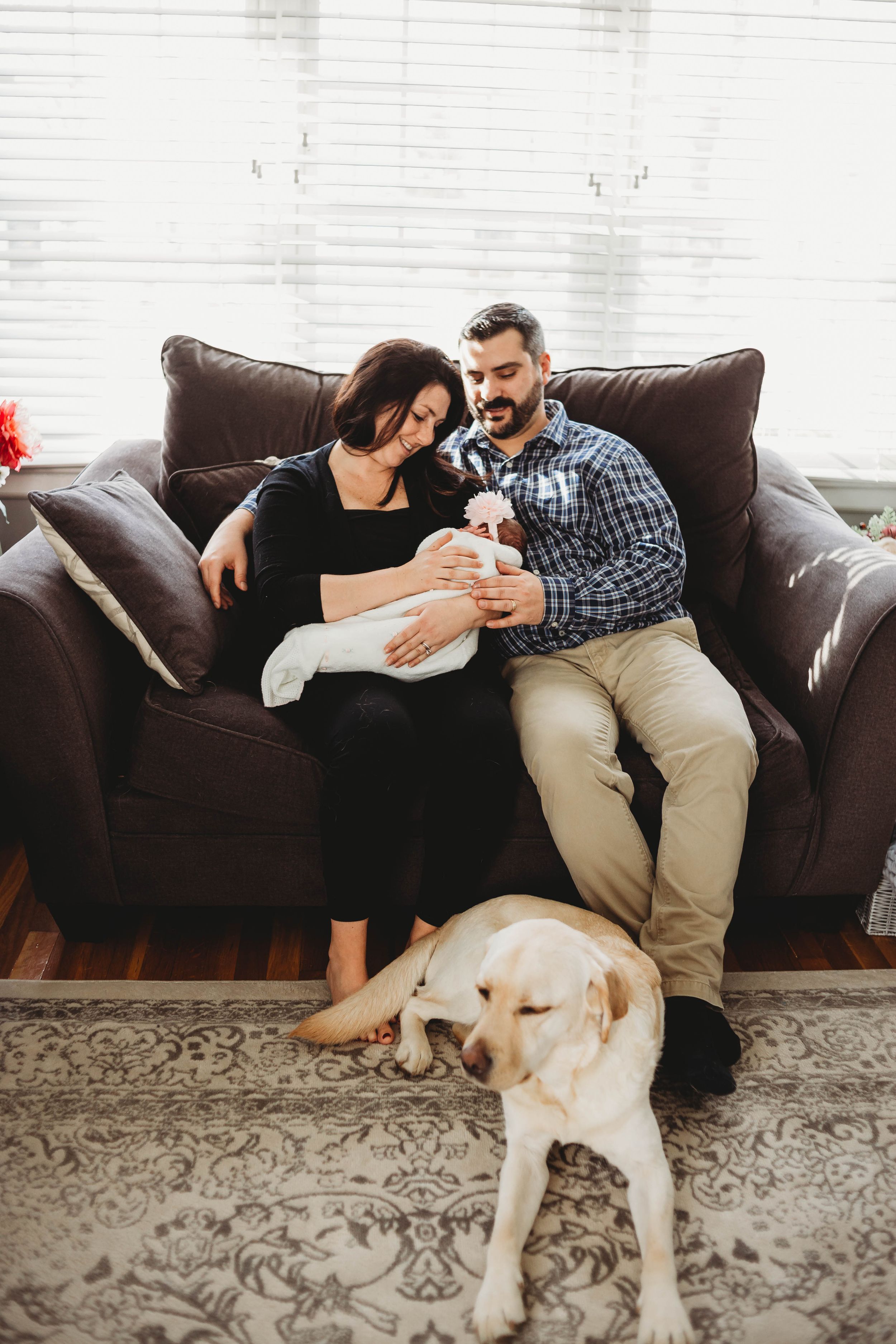 family dog by rutland photographer