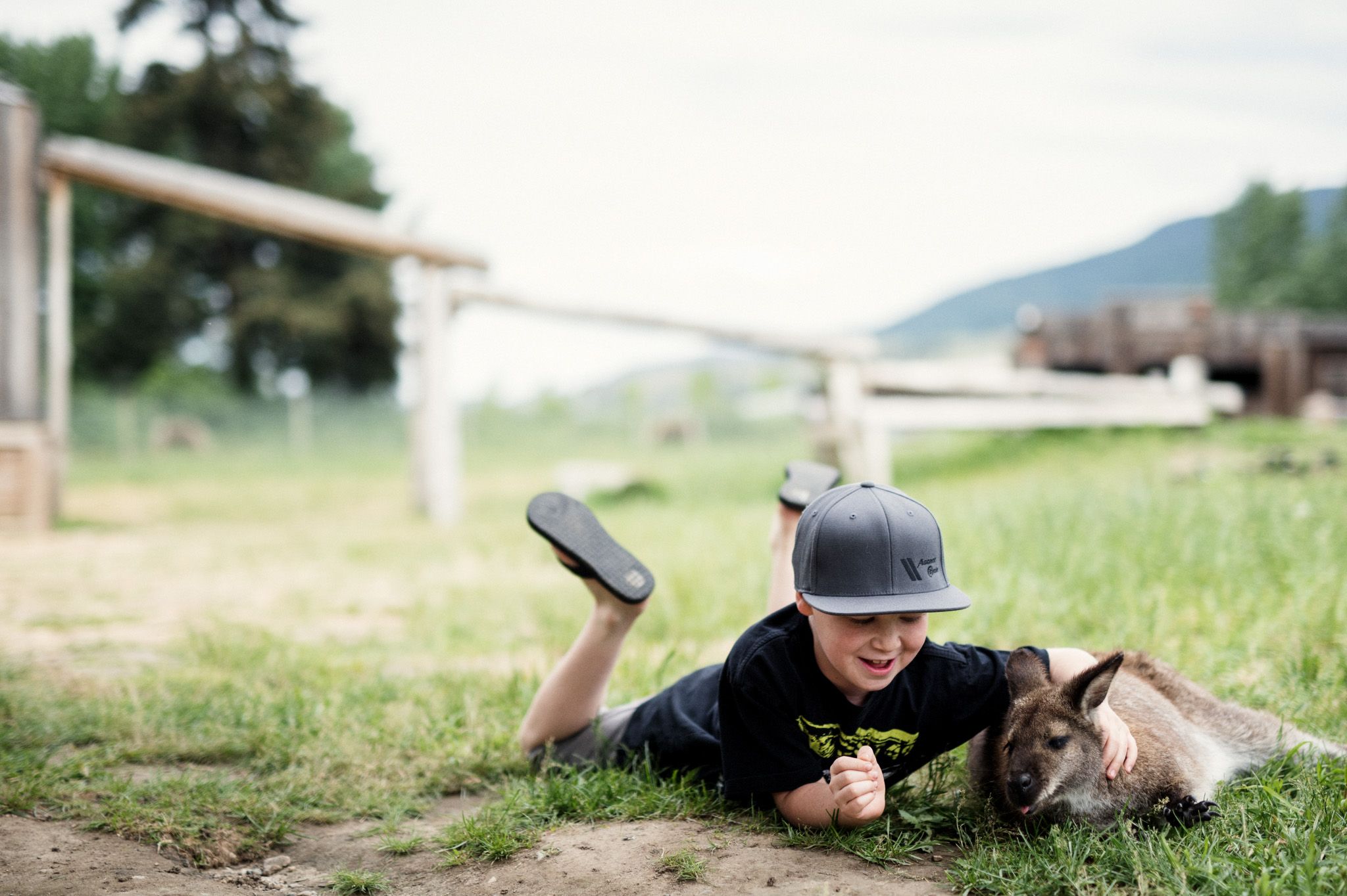 Kangaroo Farm | Kelowna BC