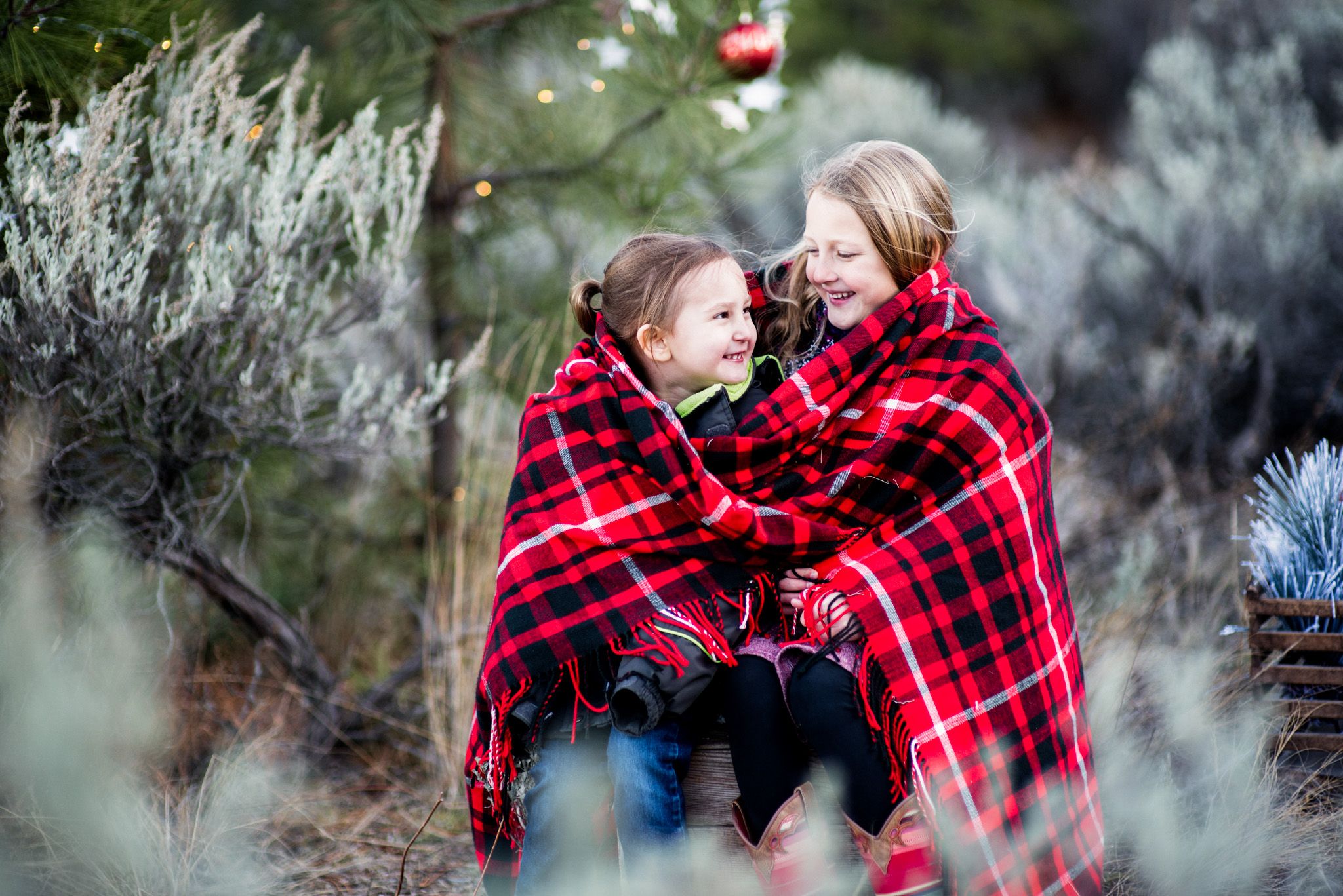Christmas Mini Sessions | Kamloops BC