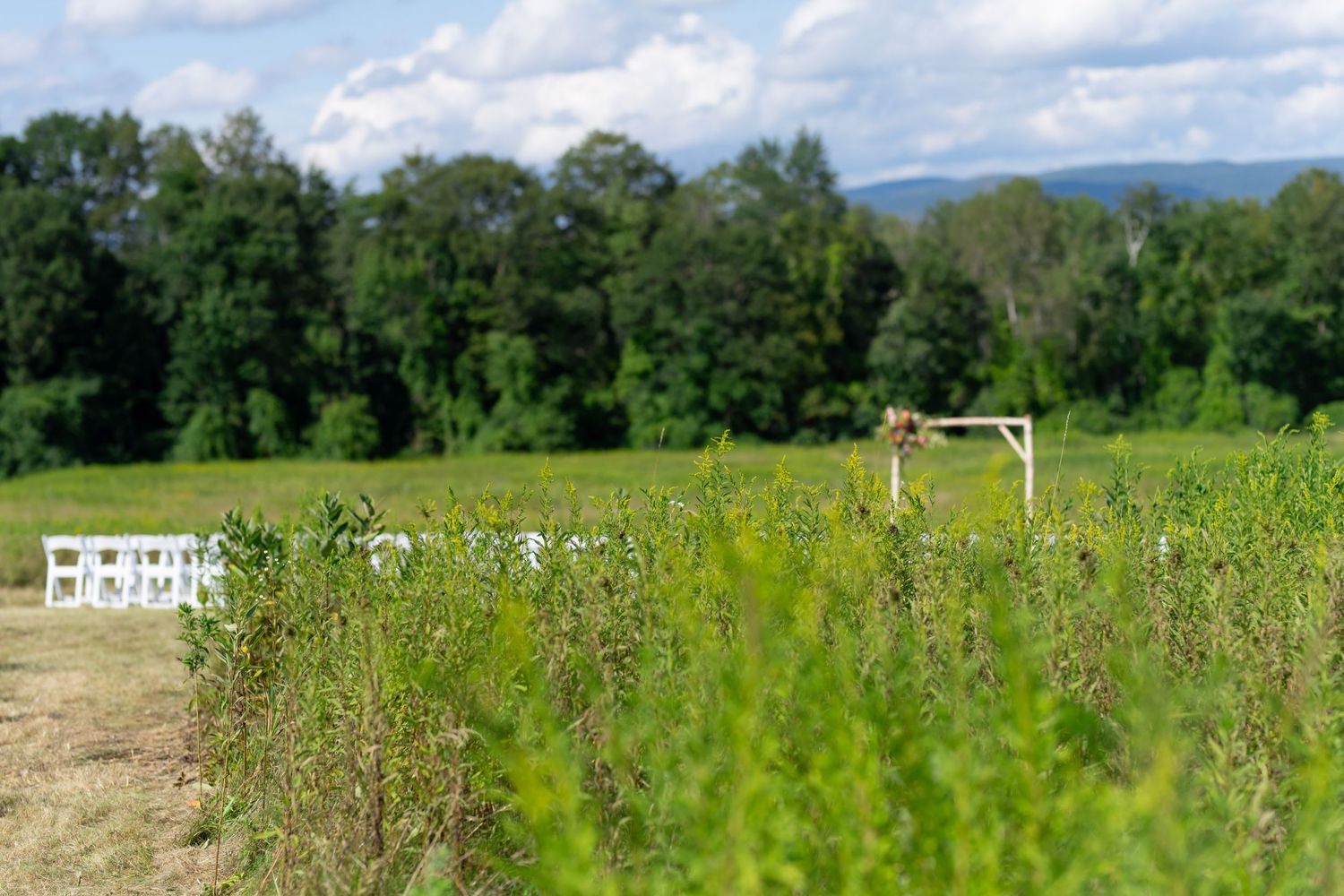 White chairs set up for outdoor wedding ceremony in a meadow with mountains in background.