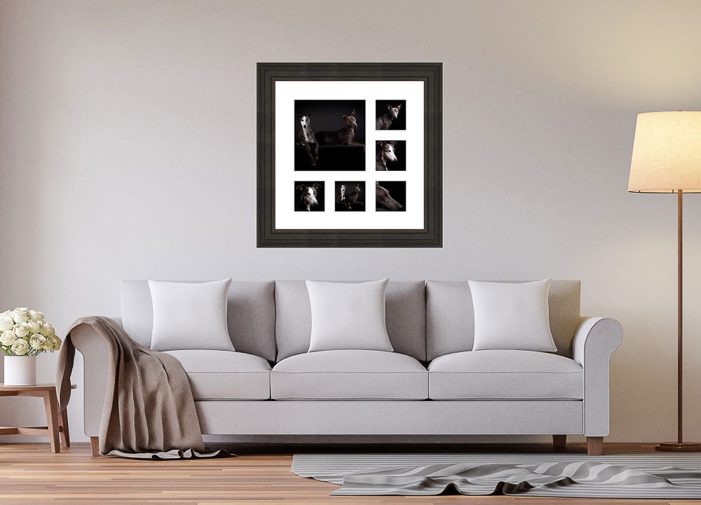 Dog photography wall art - Berkshire
