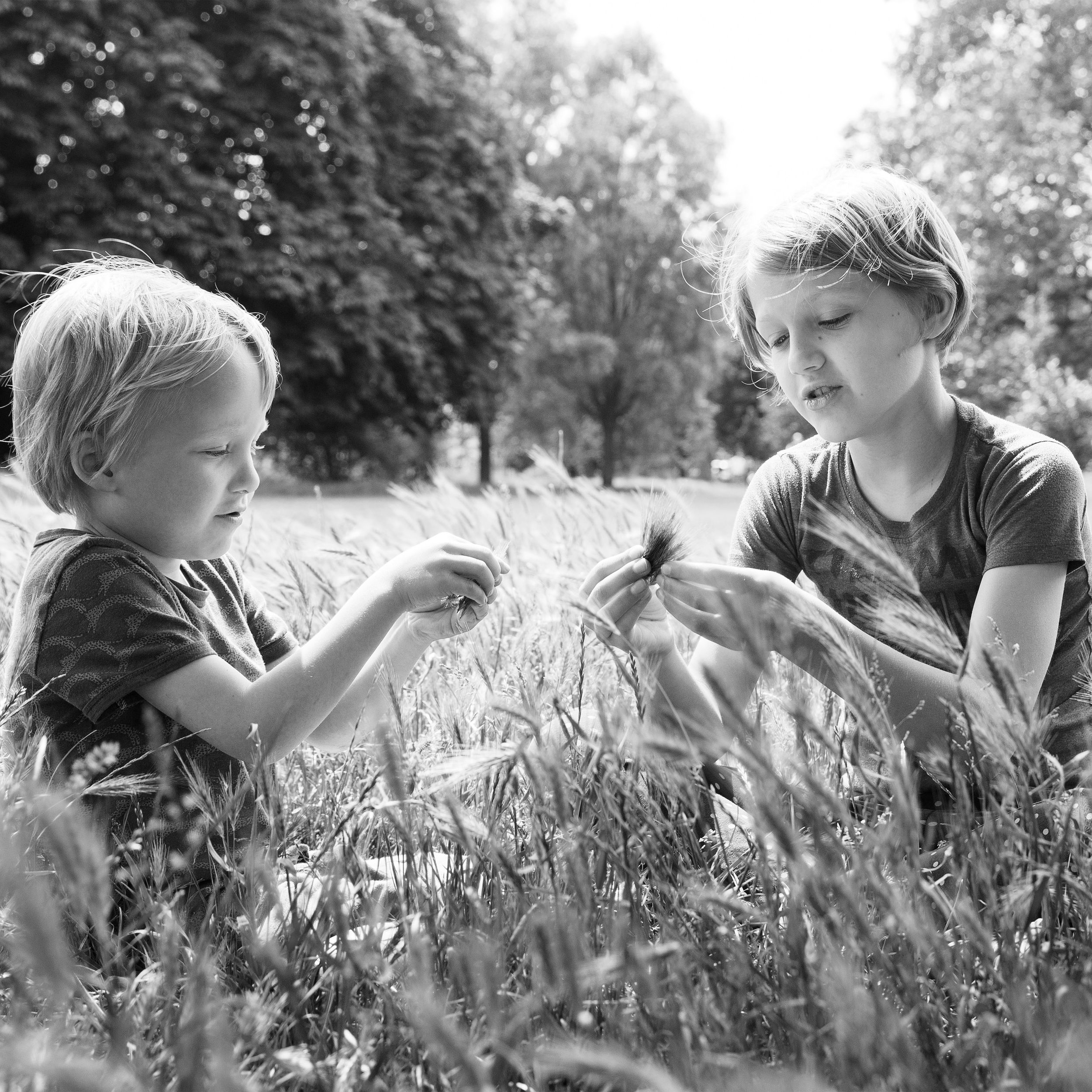 Family photography in the park