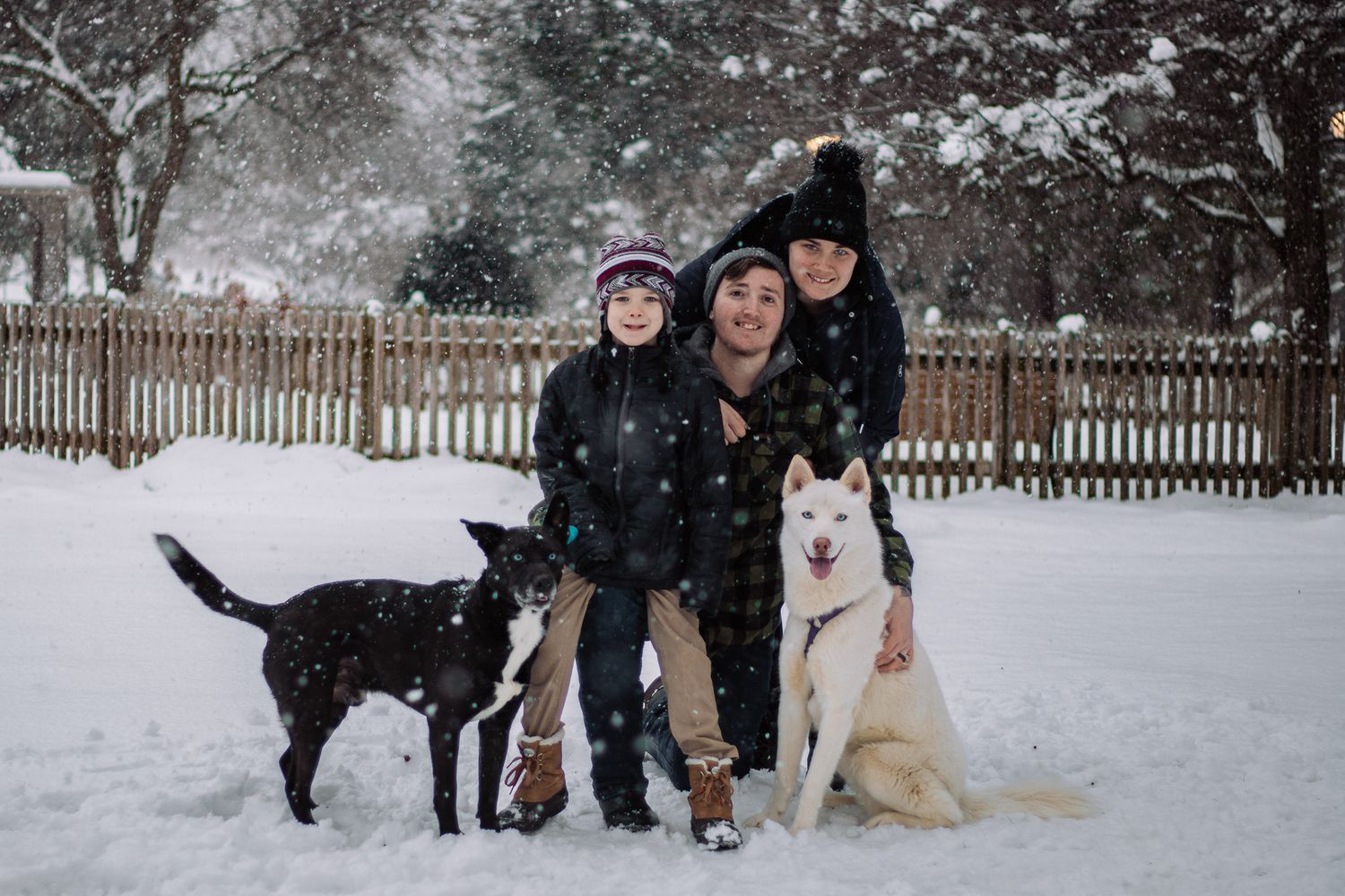 Two dogs pose with their family in a snowy winter scene with a wooden fence in the background.