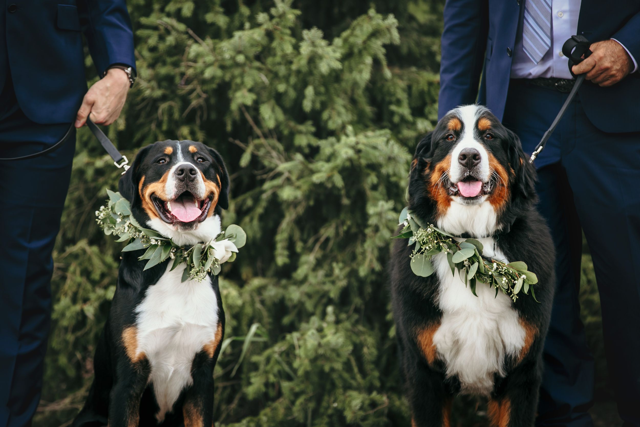 Elora Mill Wedding Photos The Foundry Ceremony