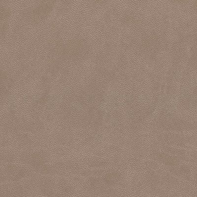 light mocha cloud leatherette colour swatch